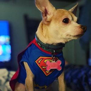 Meet your Posher, Kelly